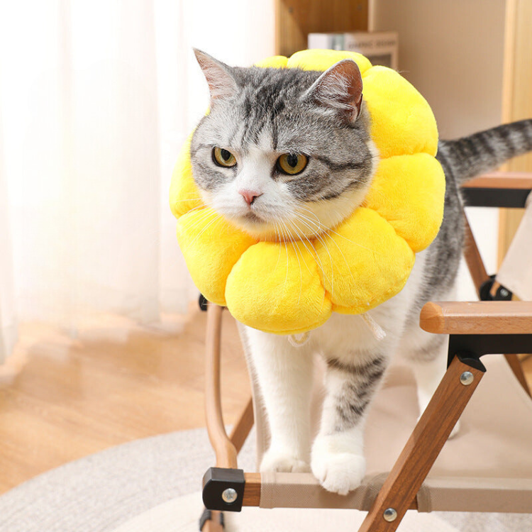 Sunflower Anti-licking Plush Collar