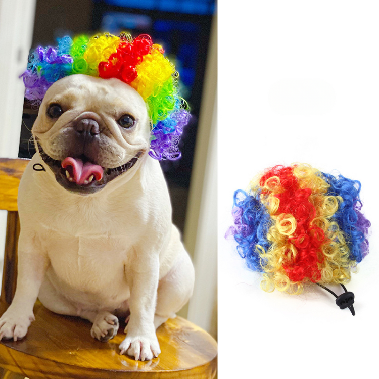 Pet Hair Wig Funny Costume