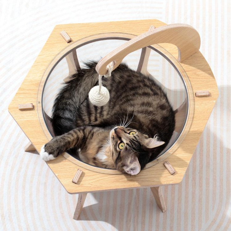 Natural Sisal Ball Transparent Cat Bed