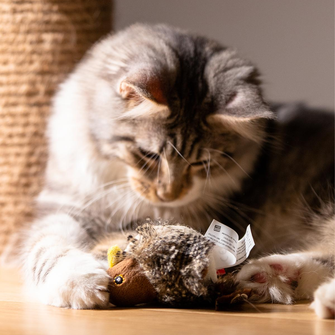 Bird Squeaker Toys For Cats Dogs