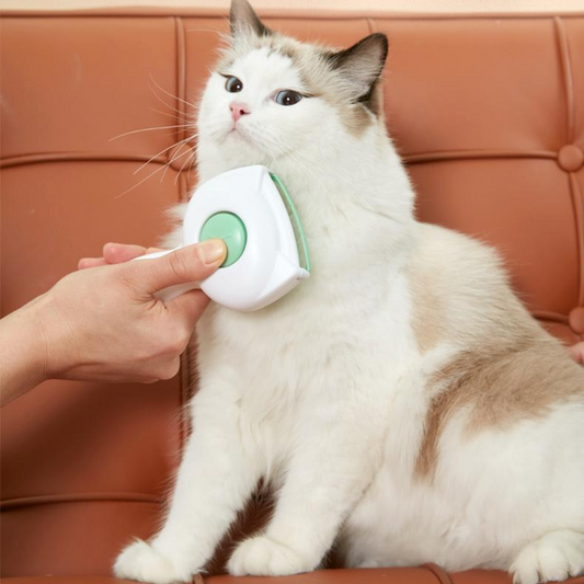 Pets Self-slicker Wipes Cleaning Brush