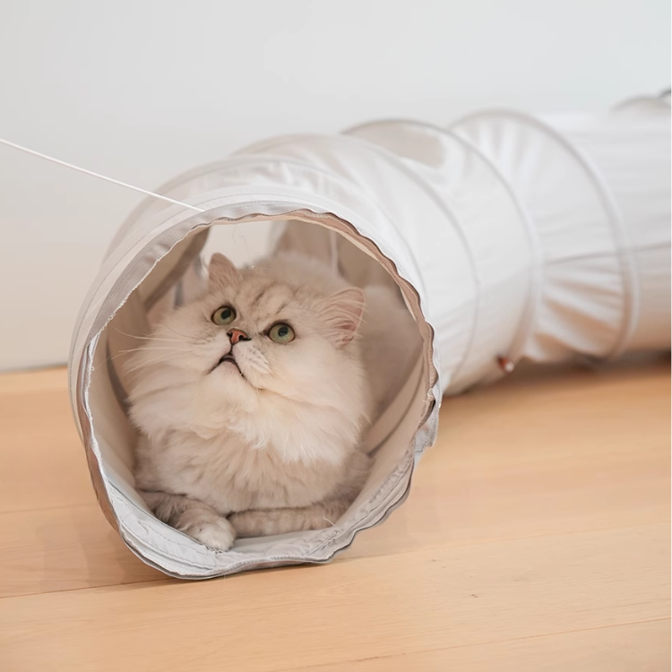 Cat Tunnels Cat Toys for Indoor Cats Cave