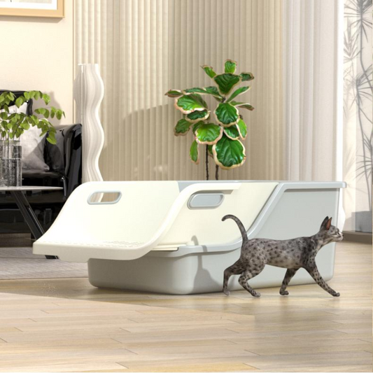 Large Cat Litter Box