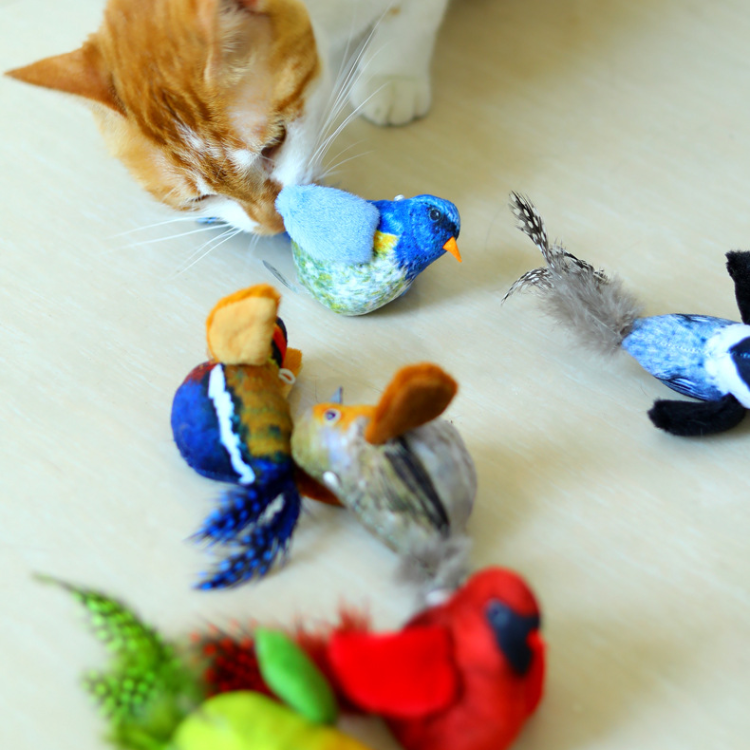 Realistic Bird Sound Interactive Cat Toys With Feather