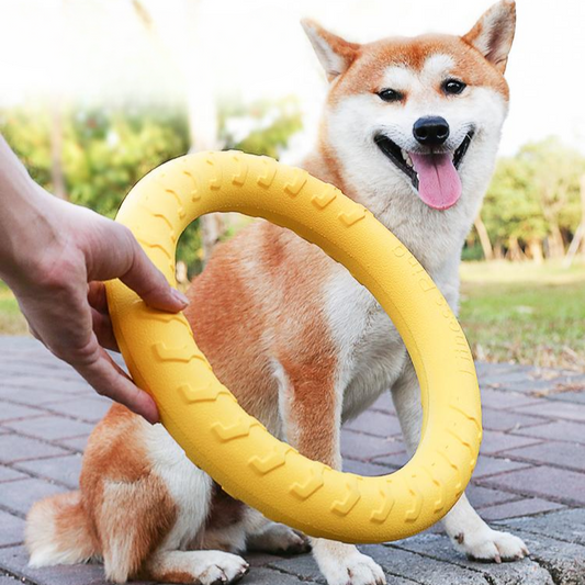 Dog Chew Ring Ball Toys