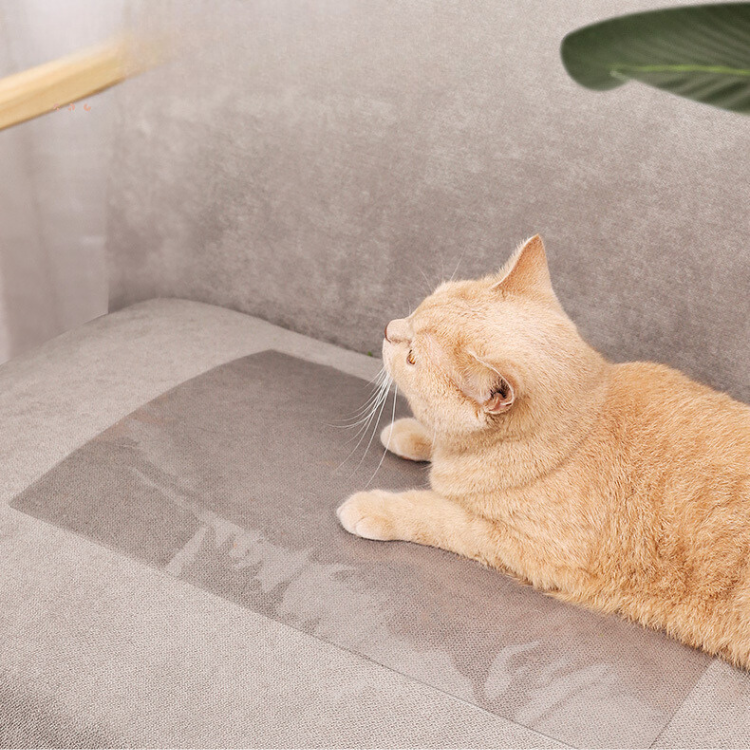 Transparent Cat Couch Protector Anti Cat Scratch