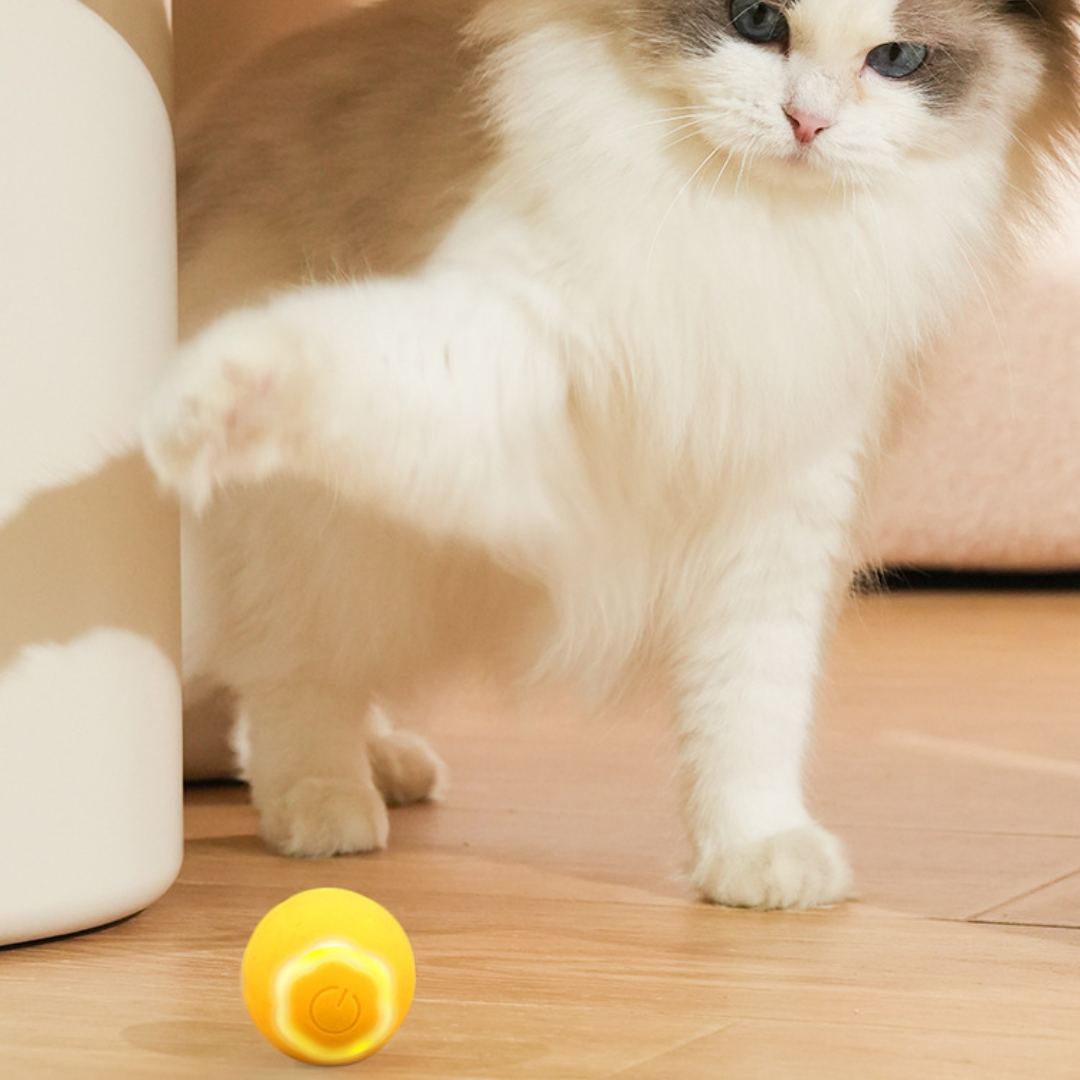 Automatic Rolling Ball Cat Toys