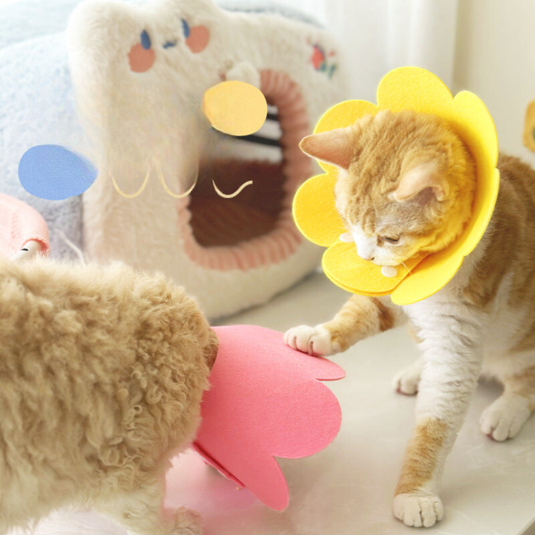 Flower Plush Collar Anti-licking Collar