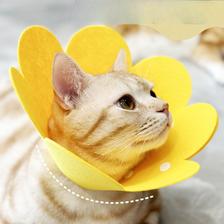 Flower Plush Collar Anti-licking Collar