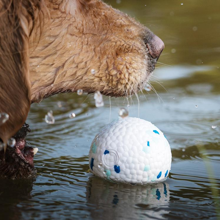 Dog Chewing Ball Toys ETPU