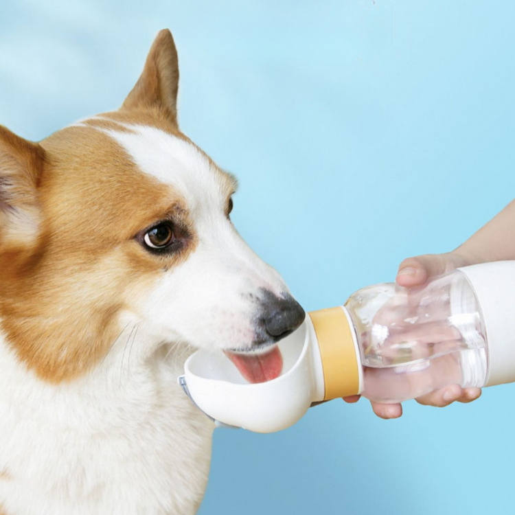 Pet Travel Drinking Water Bottle