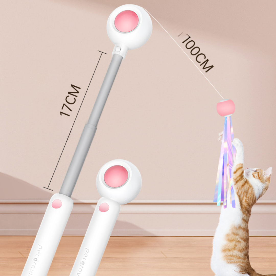 Cat Teaser Wand Toys With Laser Lights