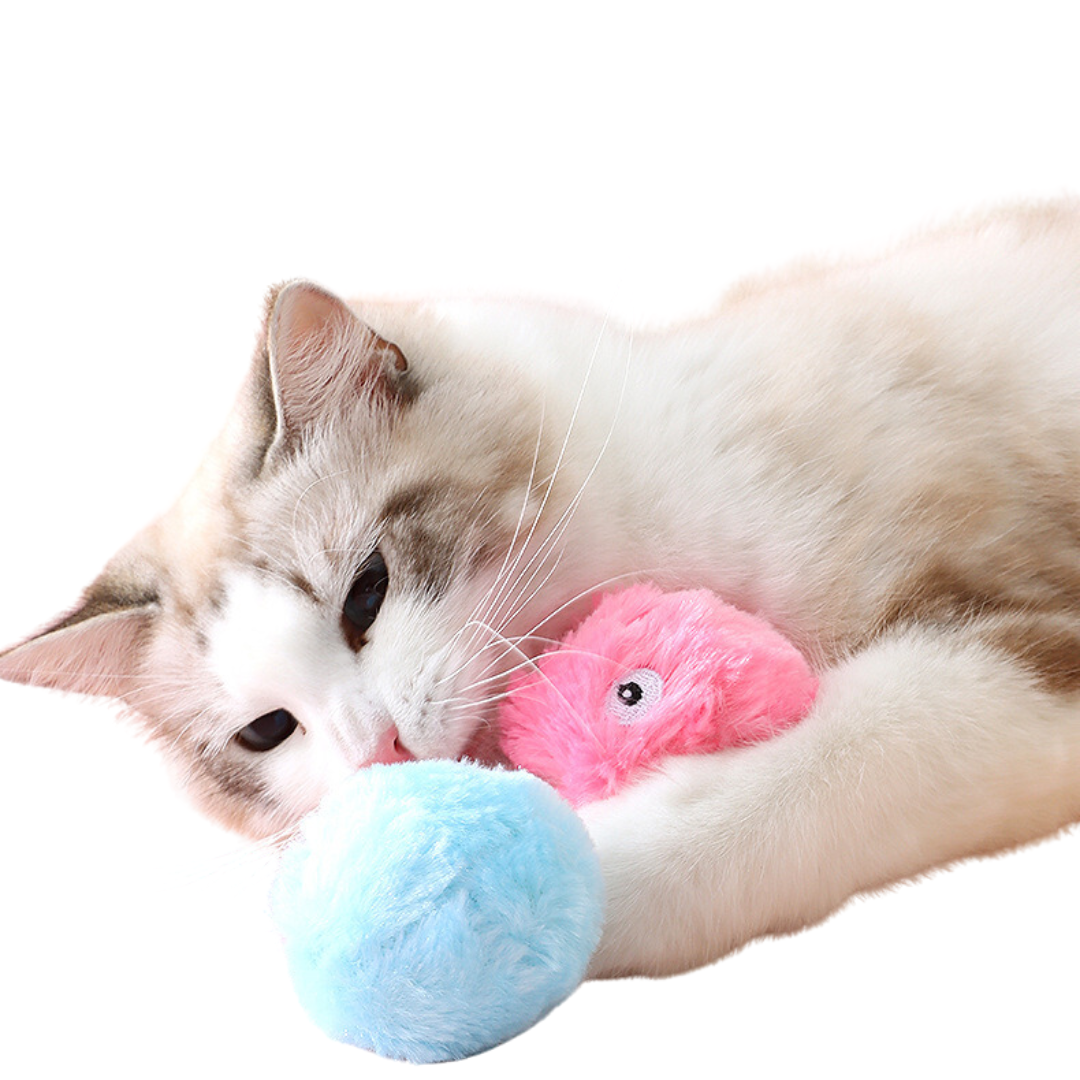 Interactive Cat Ball Toys