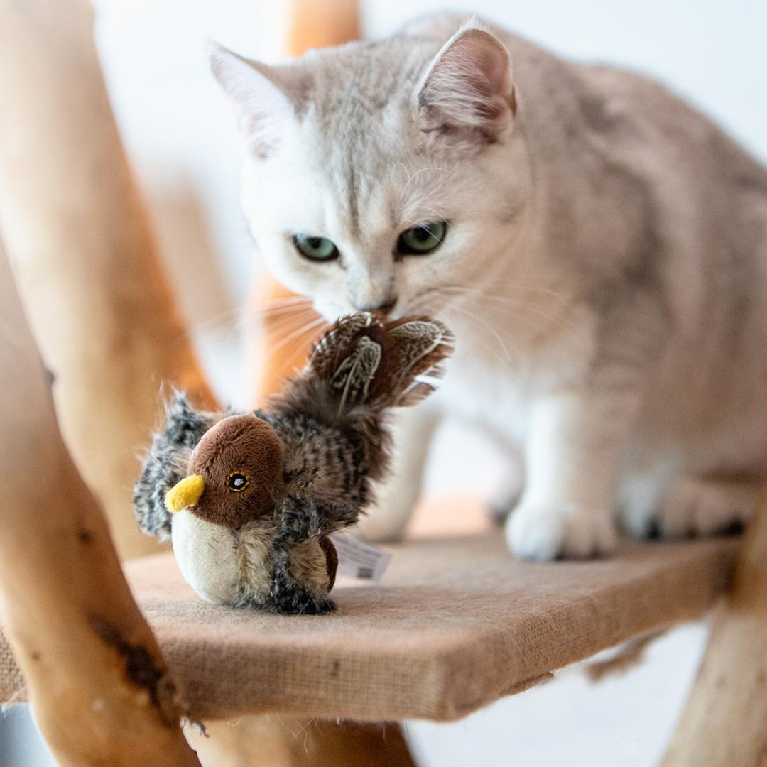 Bird Squeaker Toys For Cats Dogs