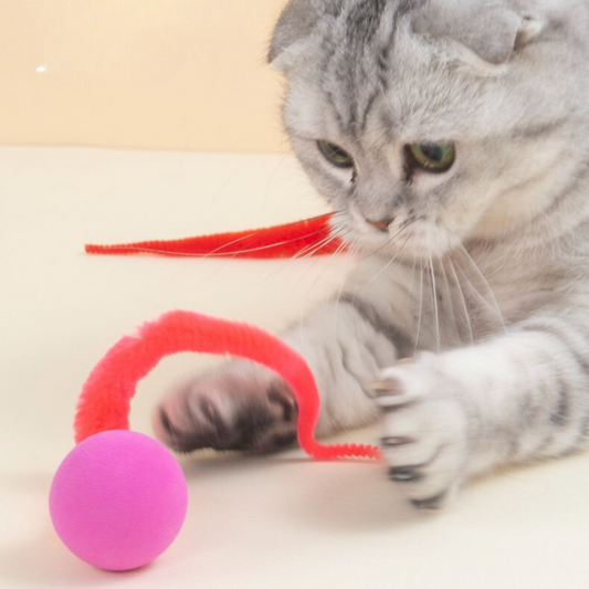 Elastic Ball Caterpillar Cat Toys