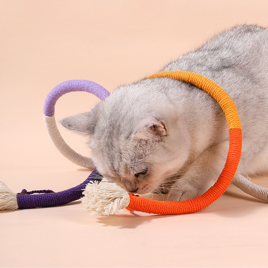 Interactive Cat Rope Chew Toys