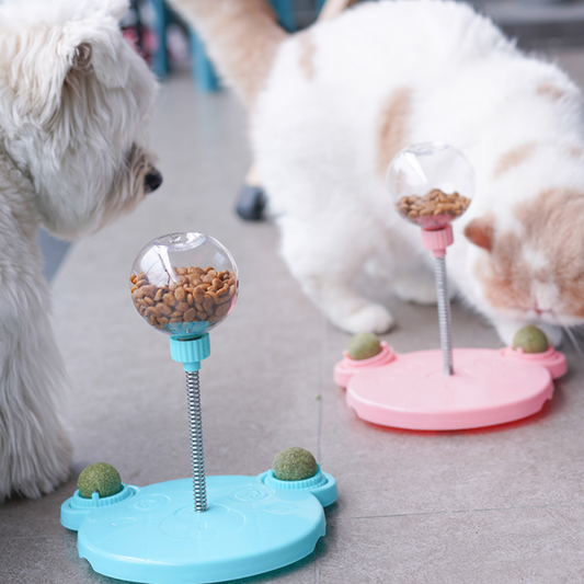 Cat Treats Leaking Dispenser Toys Catnip