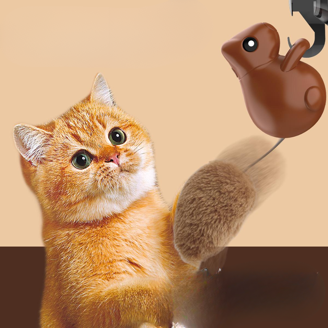 Interactive Hanging Squirrel Cat Teaser Toys