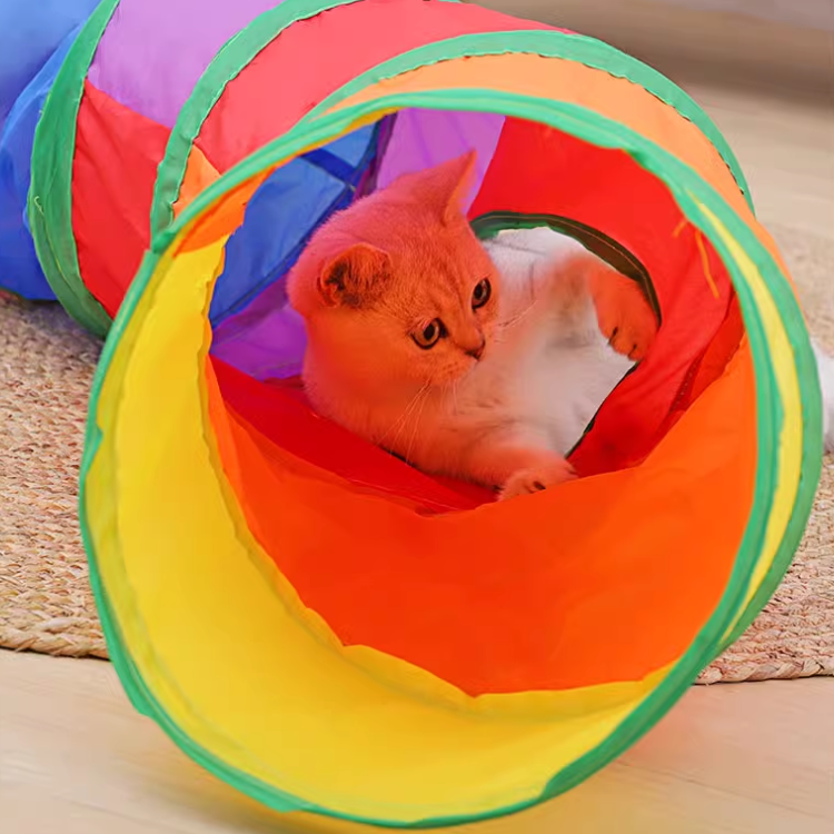 Foldable Cat Tunnel Toys For Indoor Cats