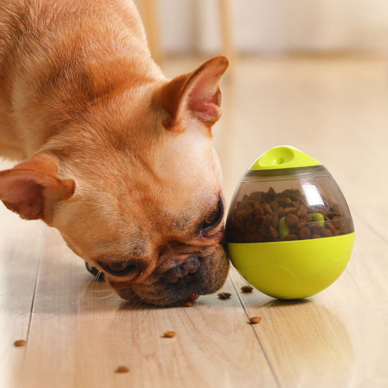 Interactive Pet Toy IQ Treat Ball Food Dispenser