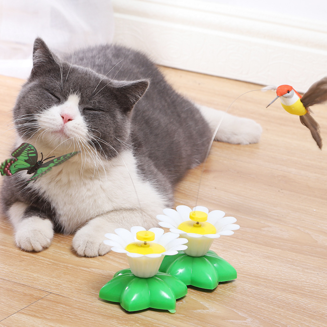 Wholesale cat toys supplier bulk buy