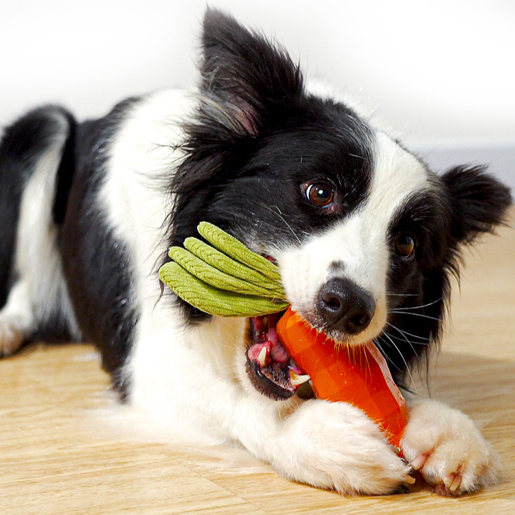 Dog Carrot Crinkle Paper Squeaker Rubber Toys