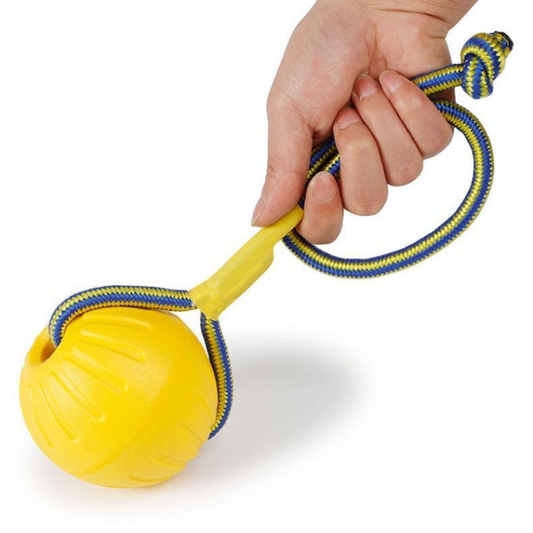 Dog Chew Ring Ball Toys