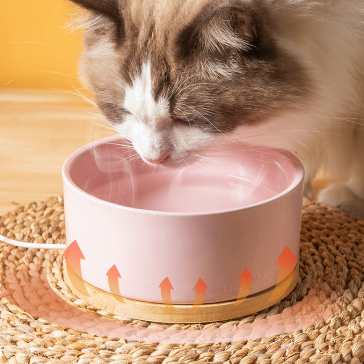 Cat Water Bowl Heating Ceramic Bowl