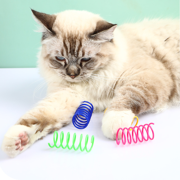 Colorful Springs Toy For Indoor Cats