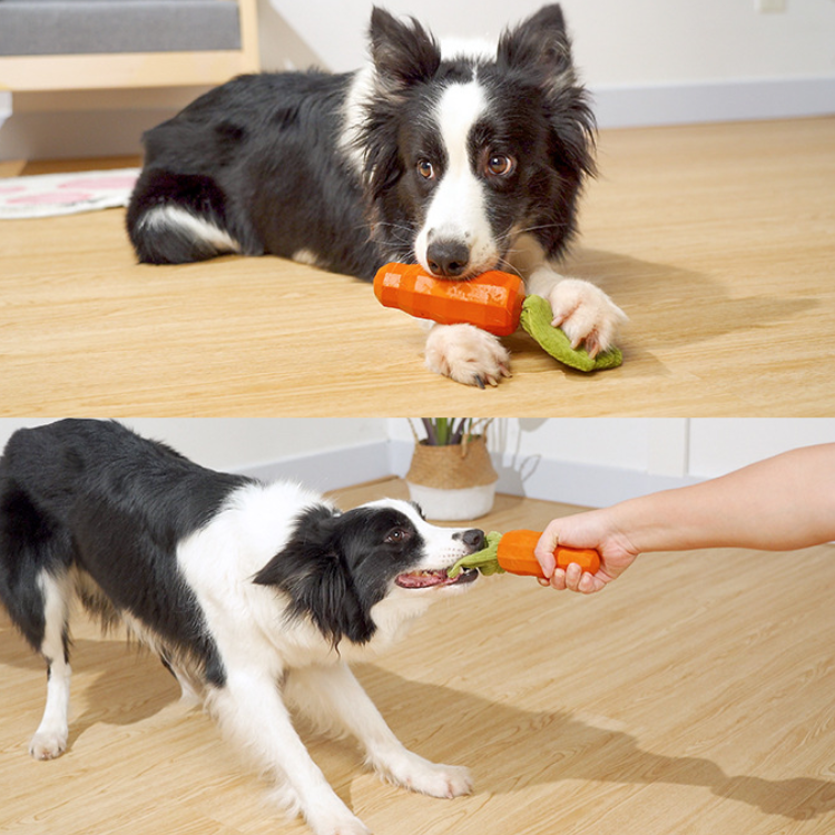 Dog Carrot Crinkle Paper Squeaker Rubber Toys