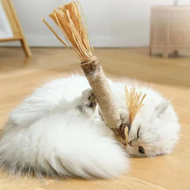 Cat Chewing Catnip Stick Toys