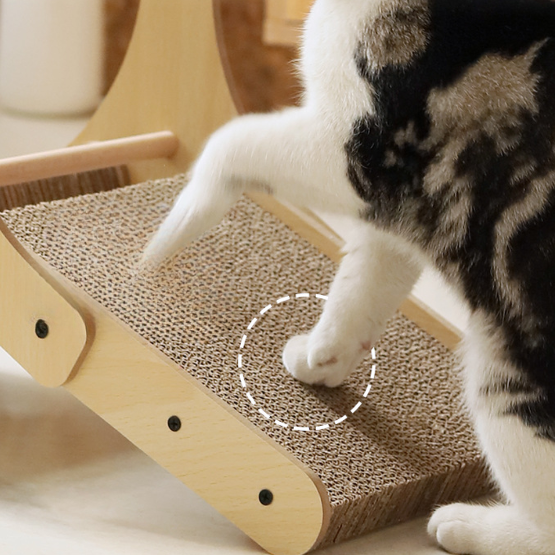 Interactive Ferris Wheel Cat Scratcher Toys