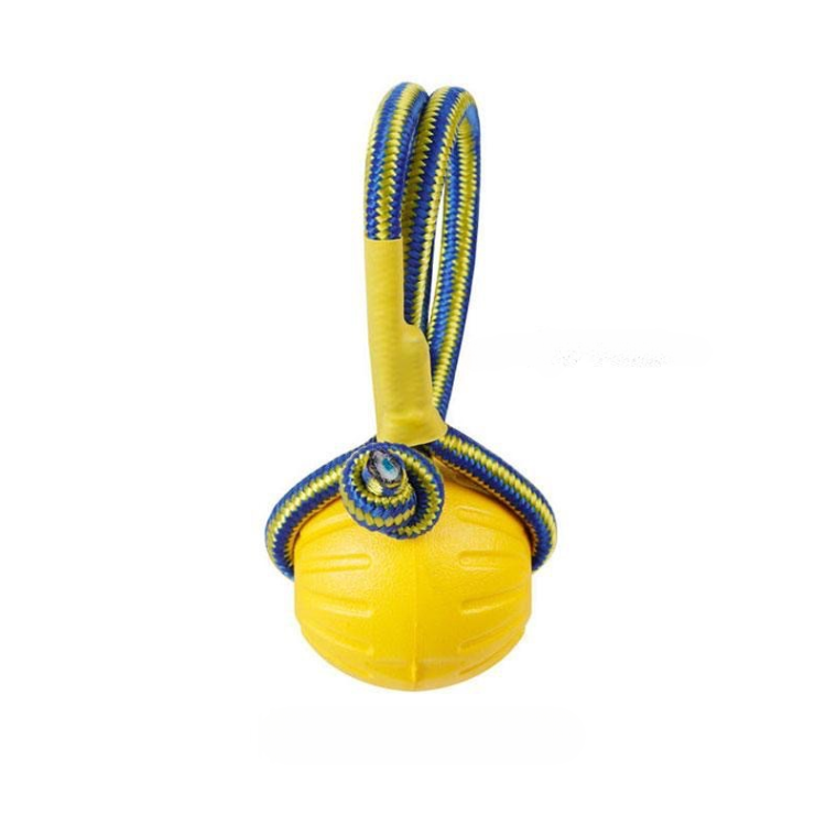 Dog Chew Ring Ball Toys