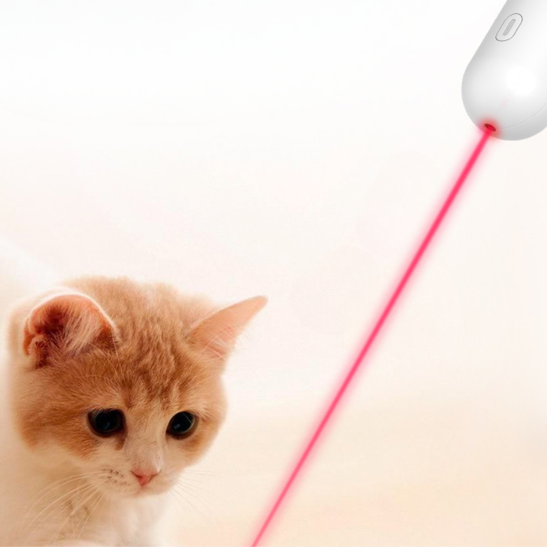 Cat Teaser Wand Toys With Laser Lights