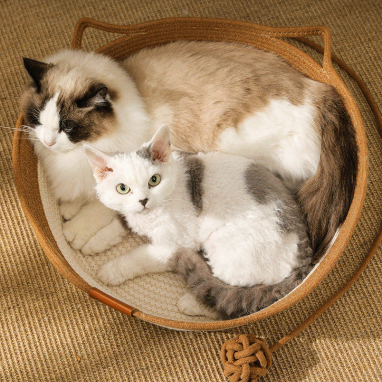 Woven Cat Bed Cotton Rope Bed Mat