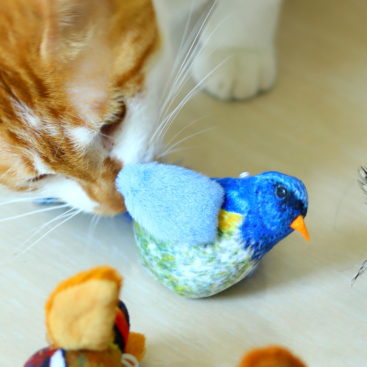 Realistic Bird Sound Interactive Cat Toys With Feather