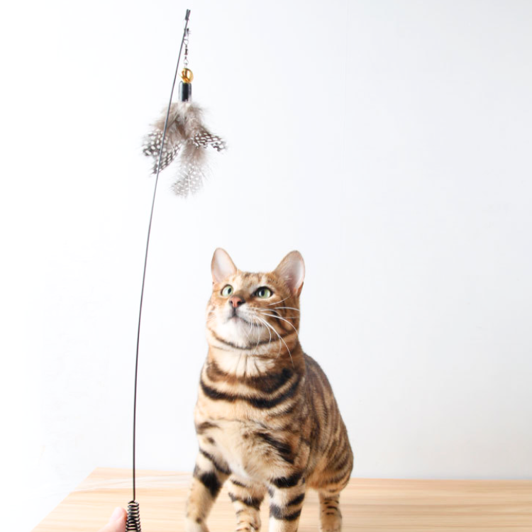 Cat Feather Teaser Wand Toys