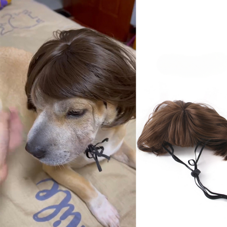 Pet Hair Wig Funny Costume