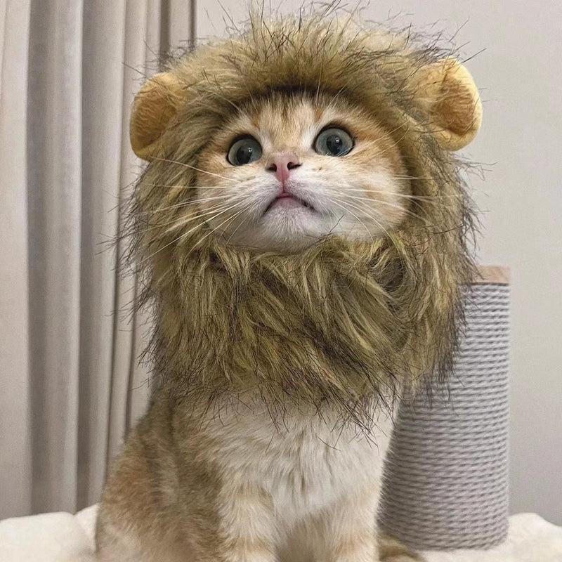 Cute Lion Mane Cat Costume Wig