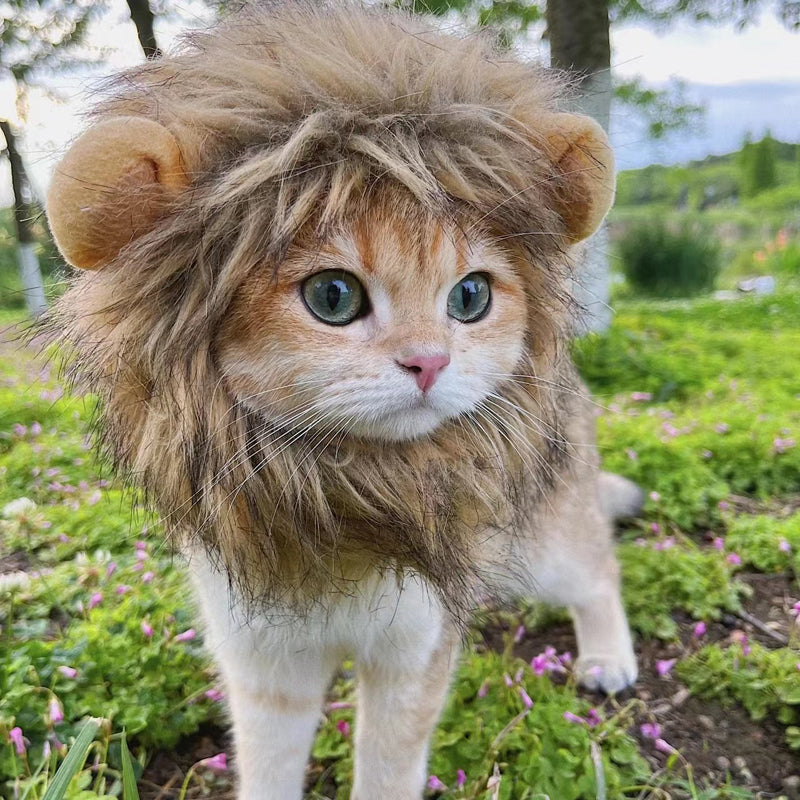 Cute Lion Mane Cat Costume Wig