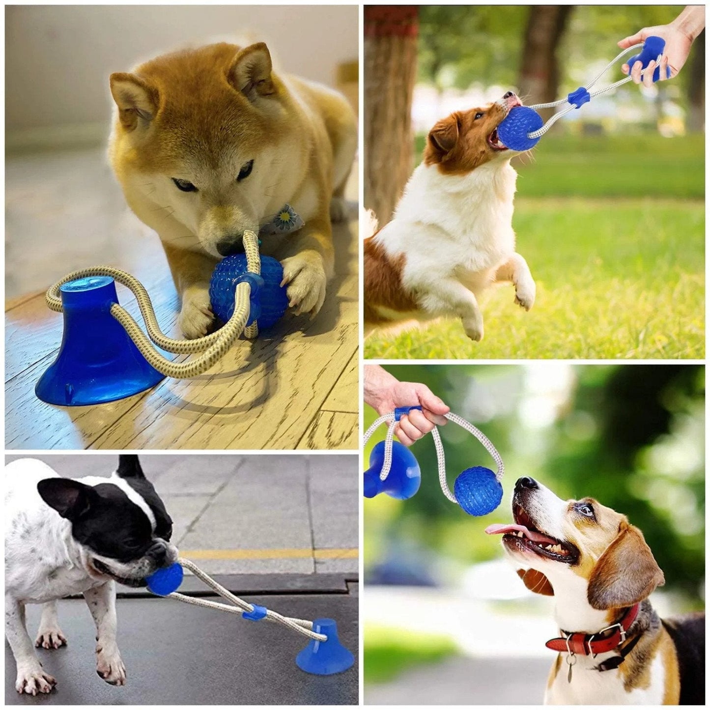 Dog toys wholesale supplier