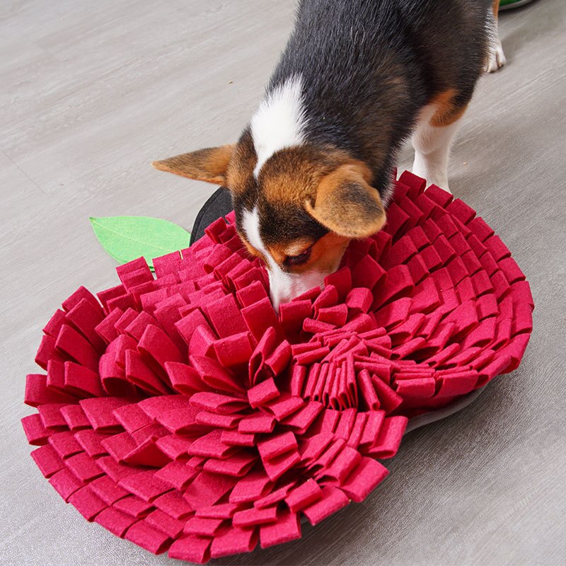 Fruit Fleece Dog Snuffle Mat