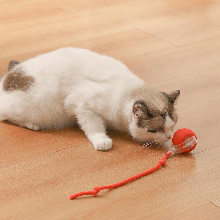 Intelligent Electric Cat Toy Automatic Rolling Ball