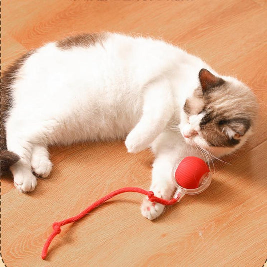 Intelligent Electric Cat Toy Automatic Rolling Ball