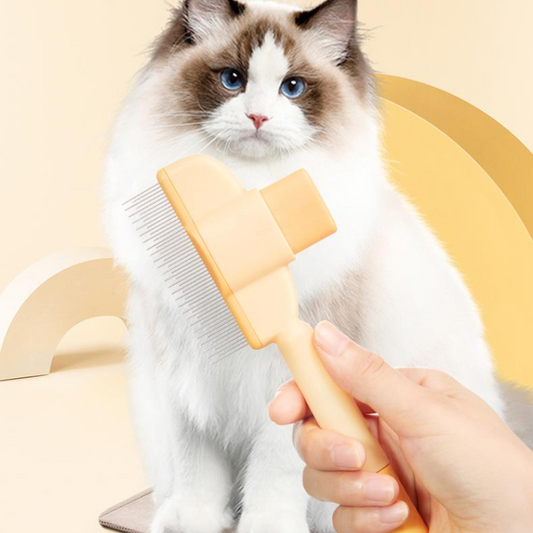 Pet Hair Removal Comb Hair Brush