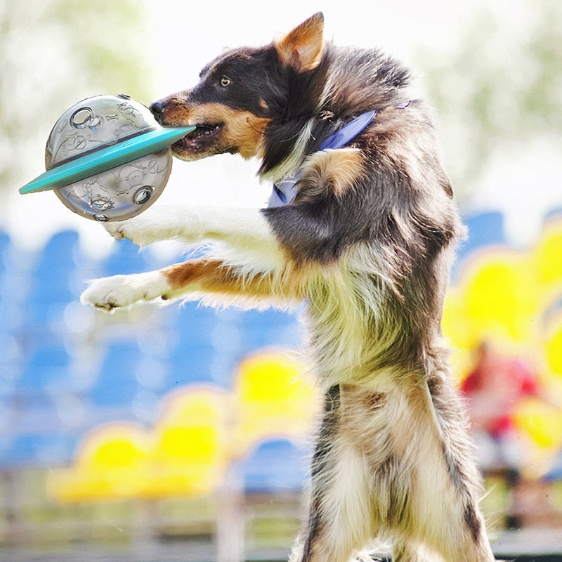 Dog Treat Dispensing Toy